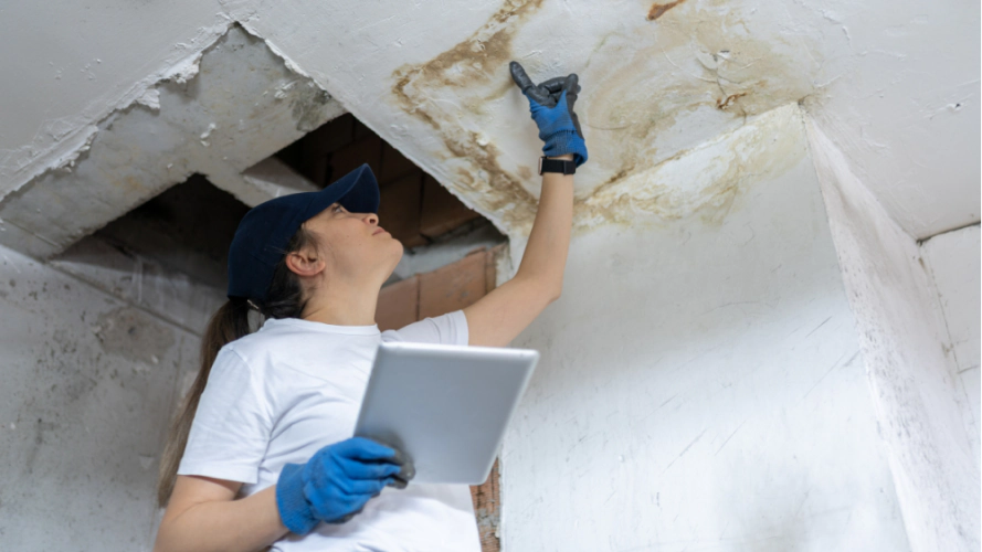 Storm Damage Restoration Services